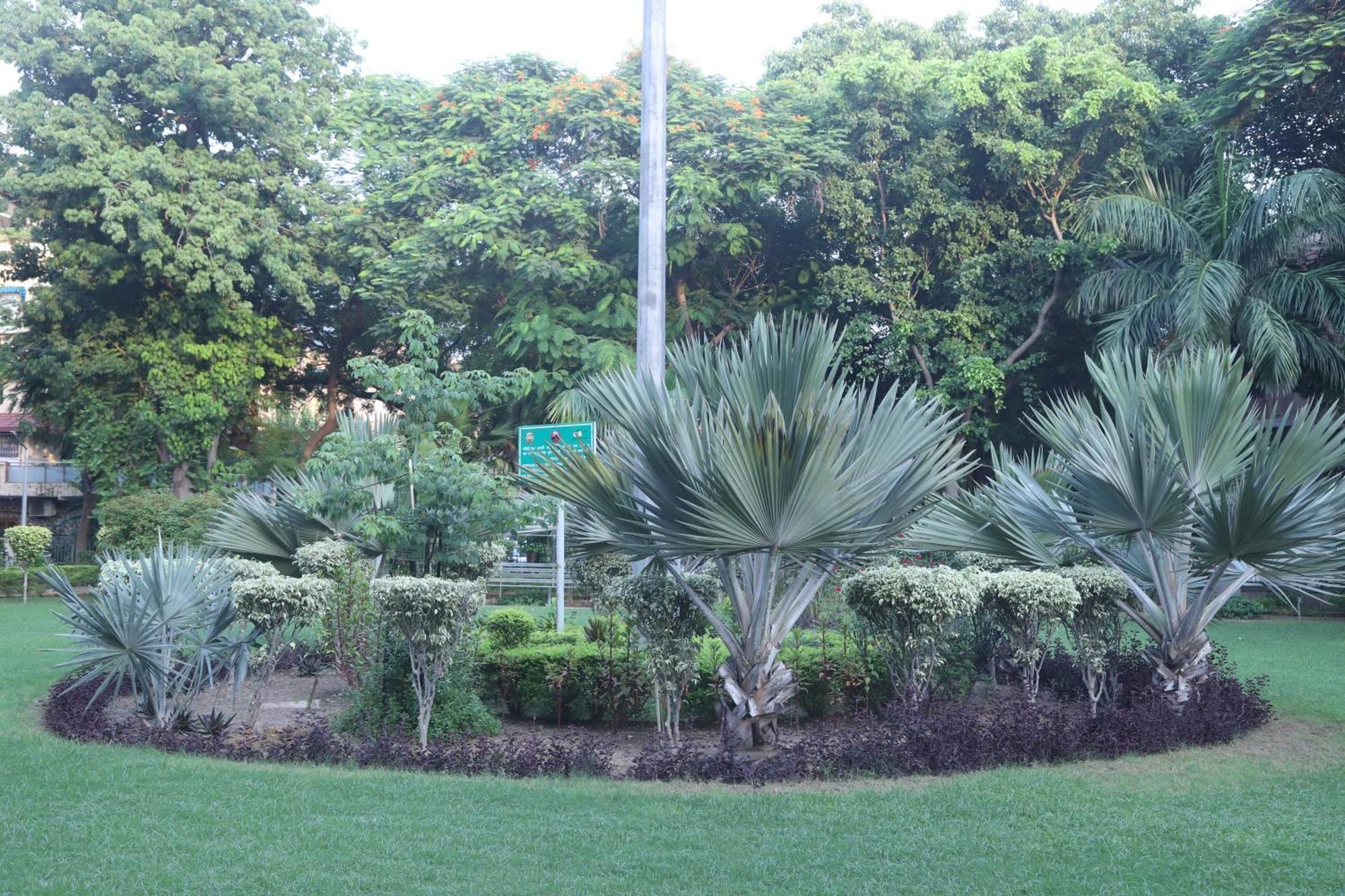 Divine India Service Apartment 3Bhk,B57 Sarita Vihar,Apollo Nova Deli Exterior foto