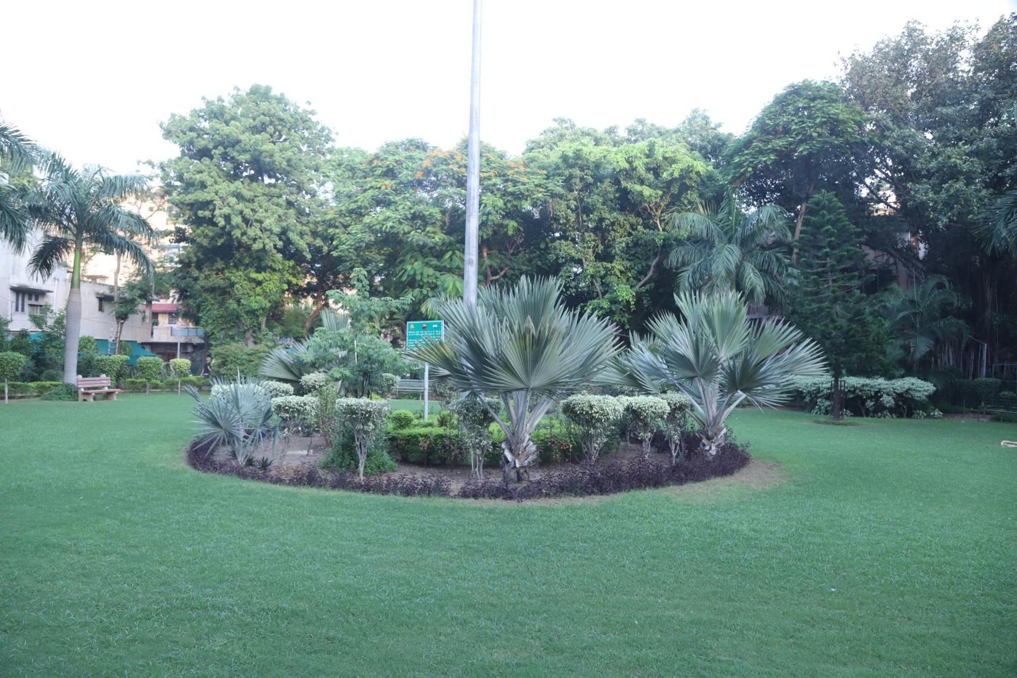 Divine India Service Apartment 3Bhk,B57 Sarita Vihar,Apollo Nova Deli Exterior foto